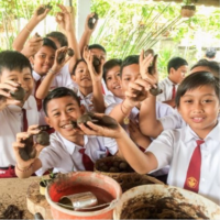R.O.L.E. Foundation Bali R.O.L.E. Foundation Bali
